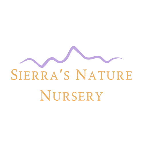 Sierra’s Nature Nursery